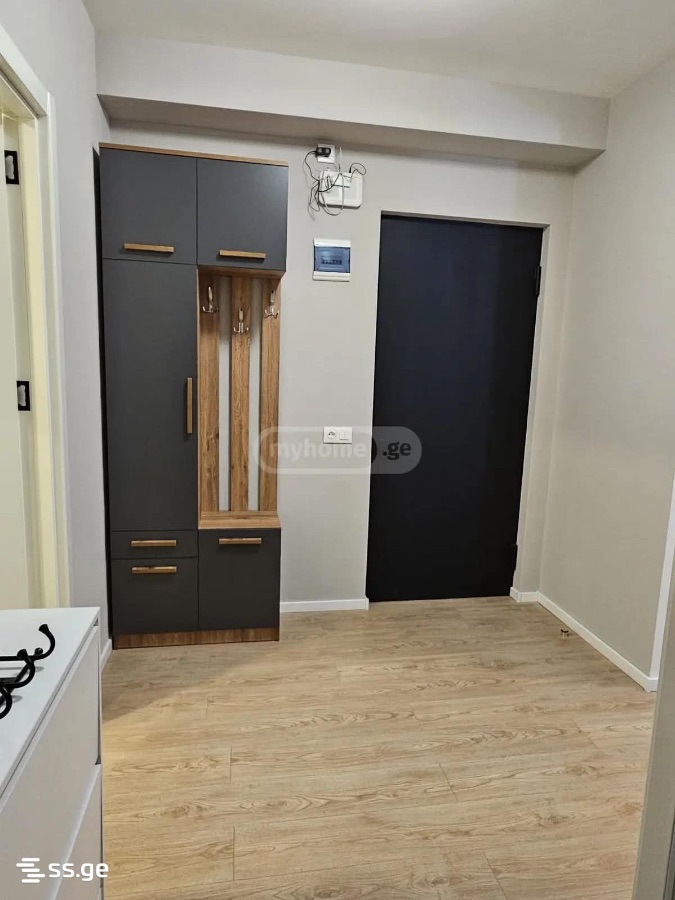 2 room Flat Daily rent. Didi digomi - Widok 6