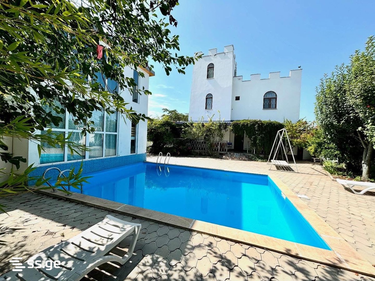 7 Room Private House Daily Rent. Bazaleti view 1