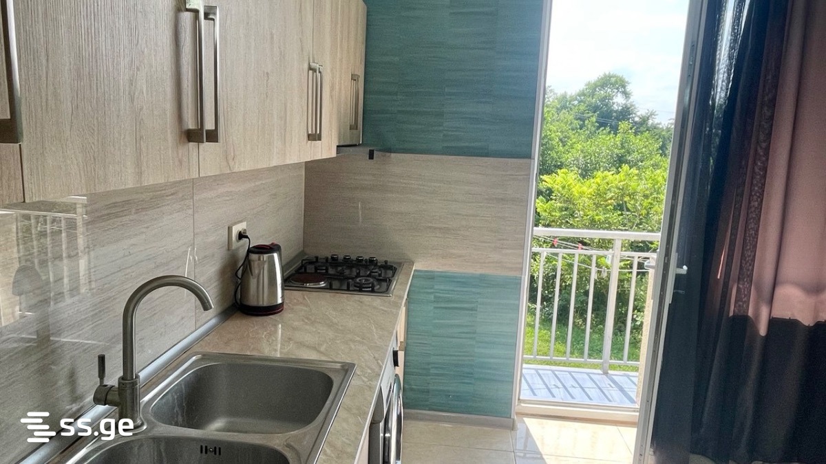 3 Room Flat Daily Rent. Poti view 2