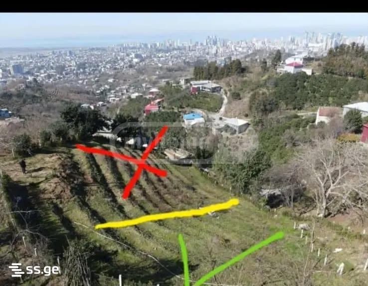იყიდება მიწა ხელვაჩაურიში view 1