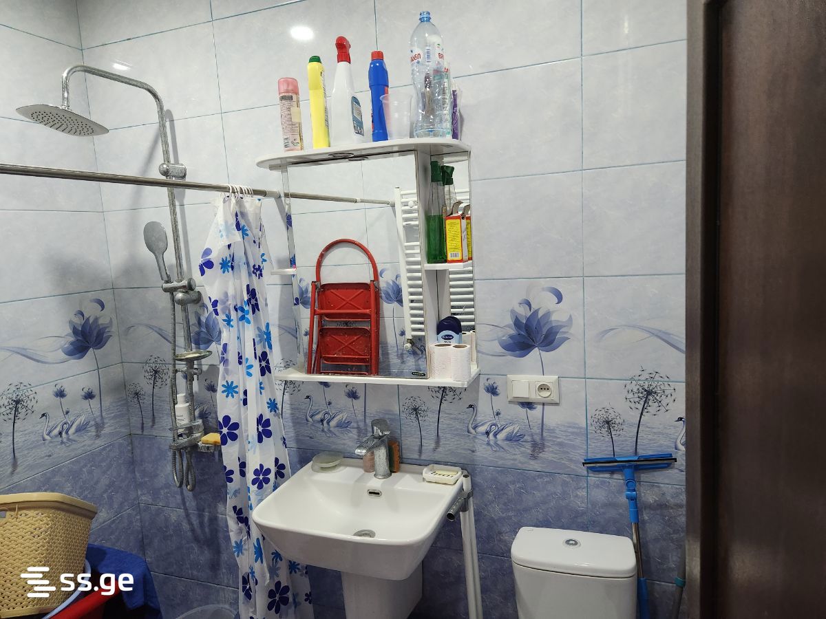3 Room Flat For Rent. Rustavi view 5