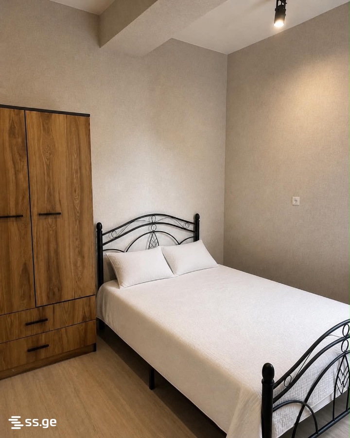 3 room Flat Daily rent. Didi digomi - Widok 2