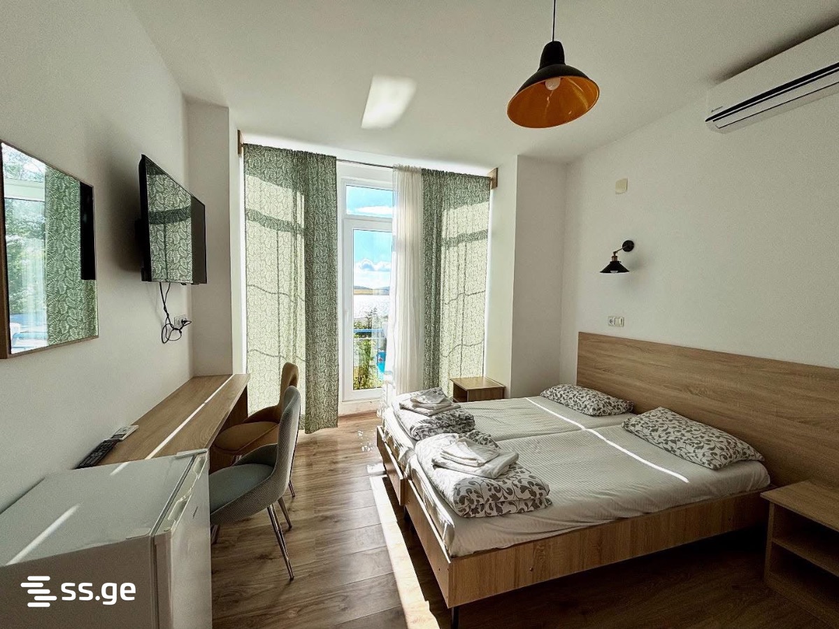 7 Room Private House Daily Rent. Bazaleti view 4