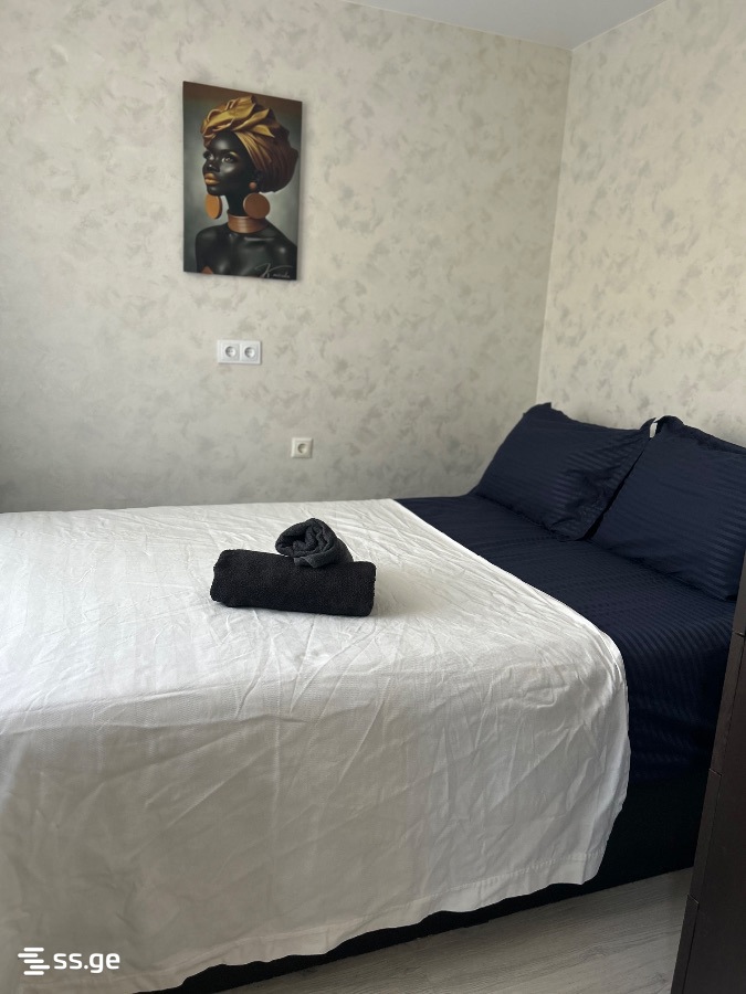 1 room Flat Daily rent. Saburtalo - Vaade 5
