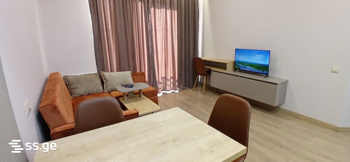 2 Room Flat Daily Rent. Samgori view 13