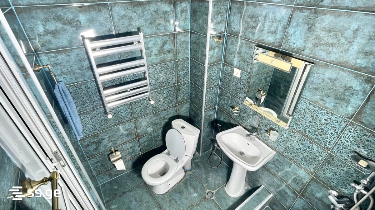 3 Room Flat Daily Rent. Poti view 6