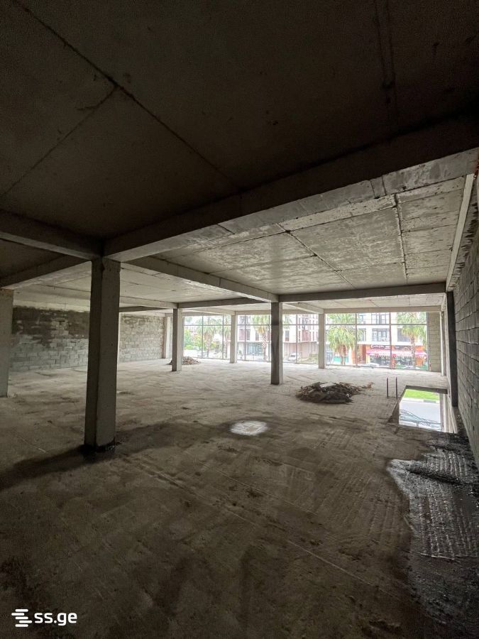 Commercial Space For Rent. Kutaisi view 12