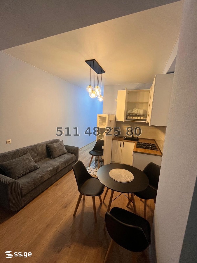 2 Room Flat Daily Rent. Didi Digomi, 2 of 4