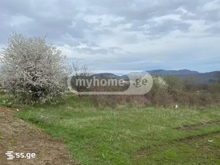 Land For Sale. Orbeti view 1