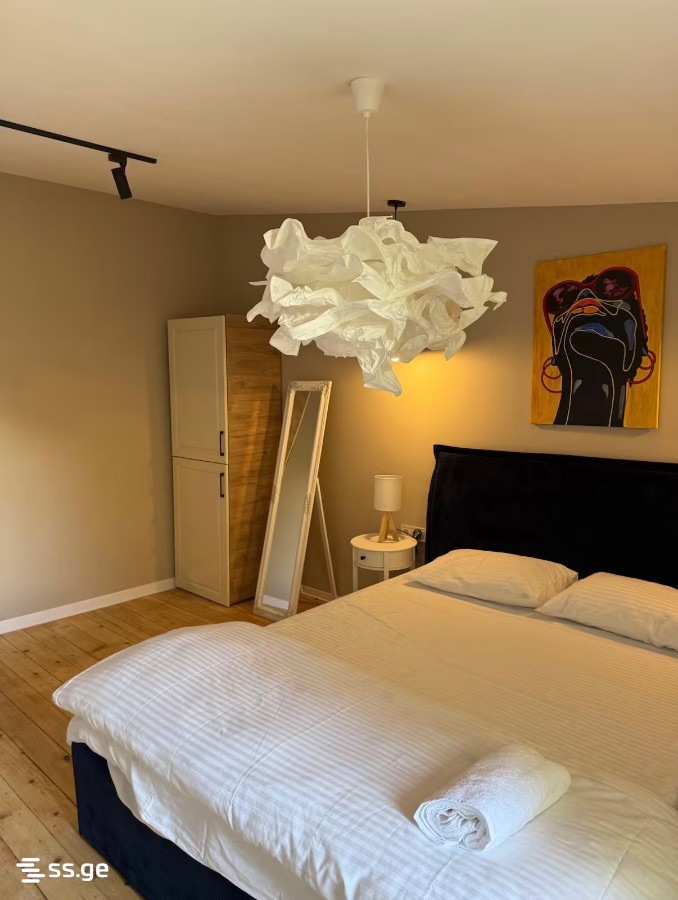 2 Room Flat Daily Rent. Sololaki view 8