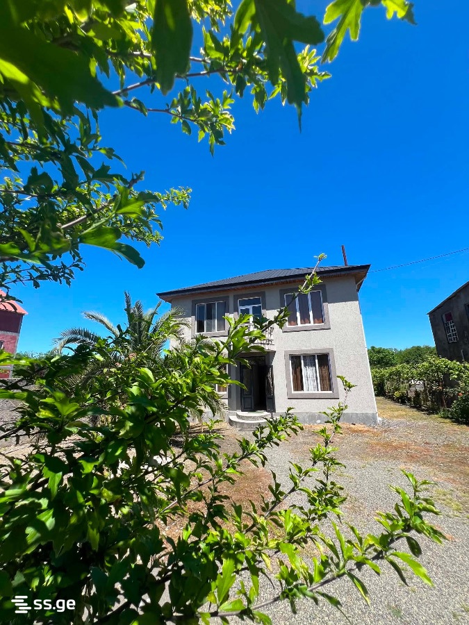 6 Room Private House Daily Rent. Grigoleti view 11