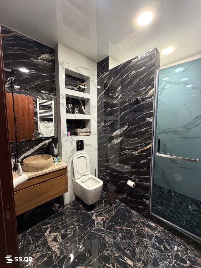 2 Room Flat Daily Rent. Varketili view 10