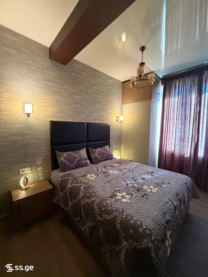2 Room Flat Daily Rent. Varketili, 1 of 4