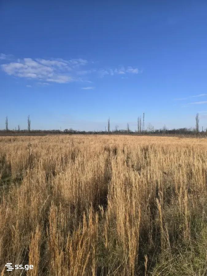 Продажа Земля в самтредиа view 5