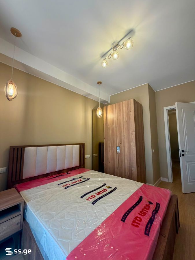 3 Room Flat For Rent. Nadzaladevi view 6
