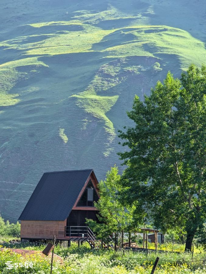 2 Room Summer Cottage Daily Rent. Kazbegi view 8