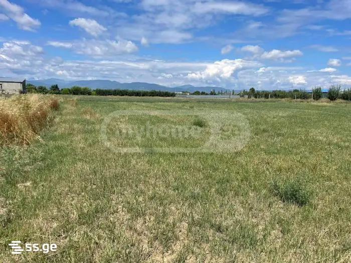 Land For Sale. Gori view 1