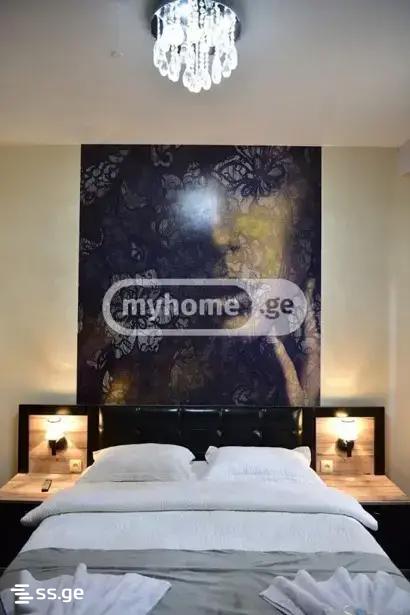 12 Room Hotel For Rent. Didube view 9