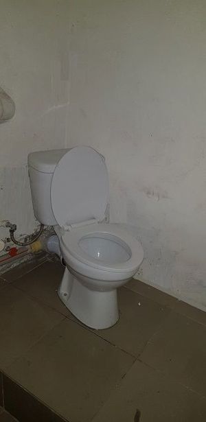 https://static.ss.ge/20260629/15_1ea457b4-1033-4daf-905e-91541d574607_Thumb.jpg