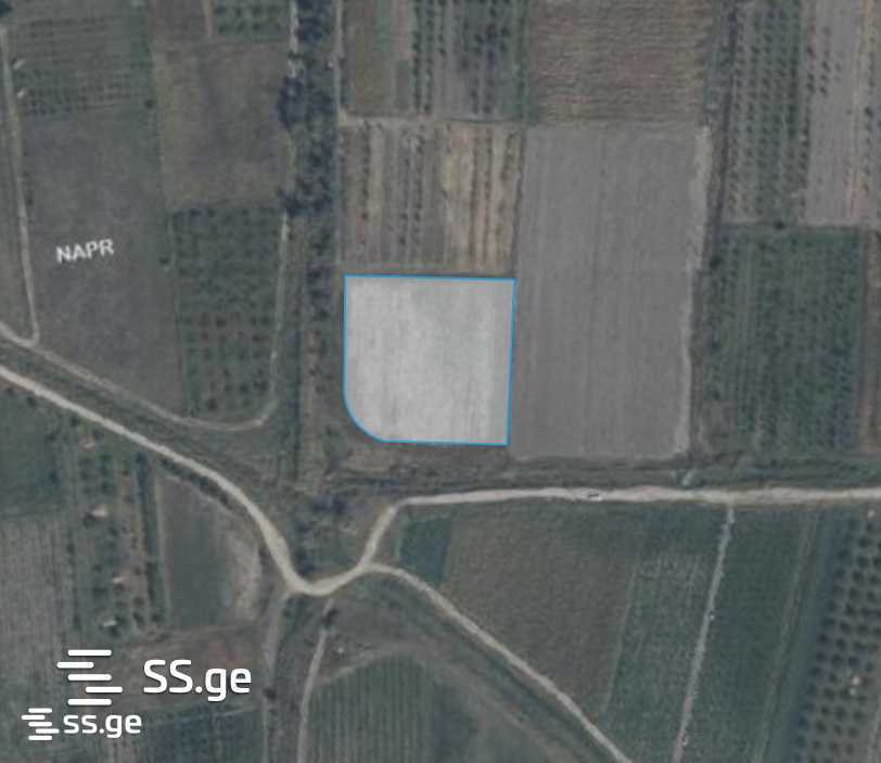 Land For Sale. Gori view 1