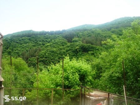 4 Room Summer Cottage For Rent. Tskneti view 2