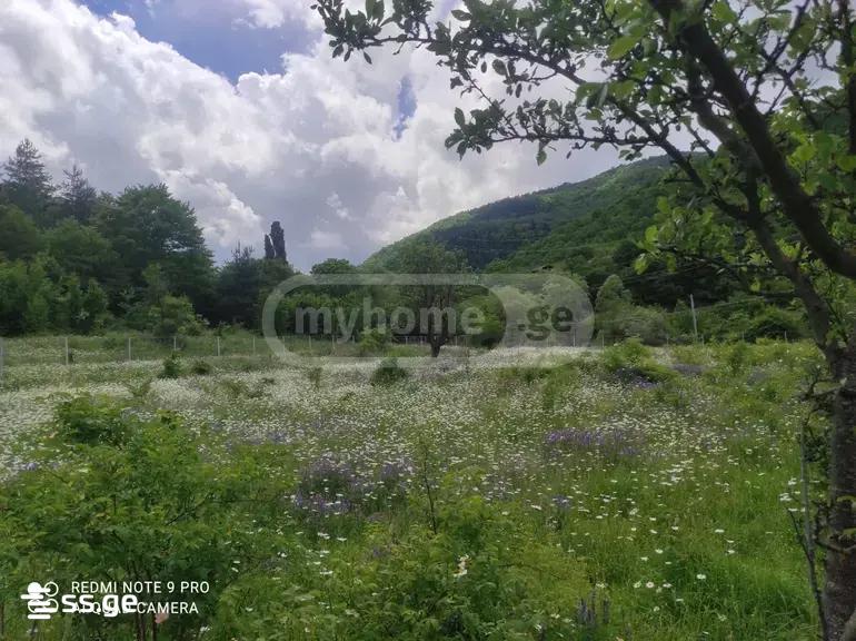 Land For Sale. Gori view 2