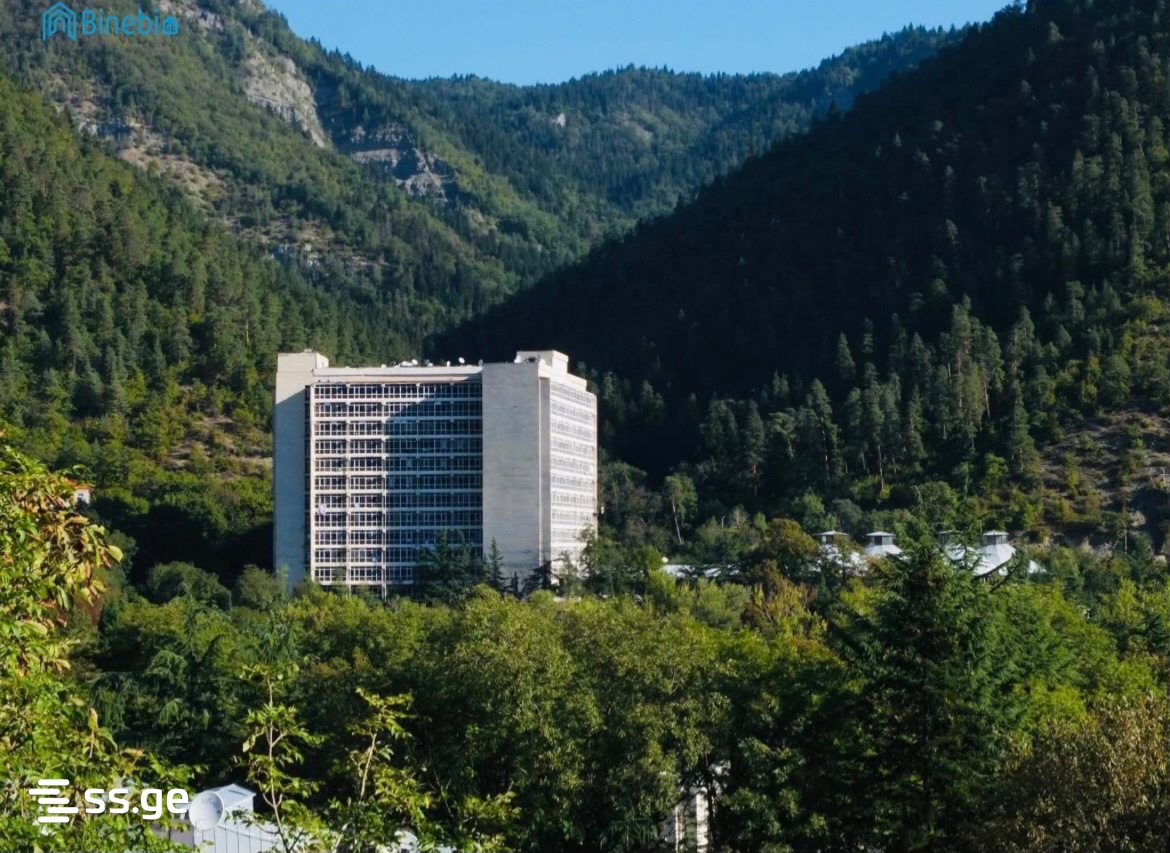 1 Room Flat Daily Rent. Borjomi view 5