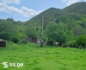 Land For Sale. Tianeti view 1