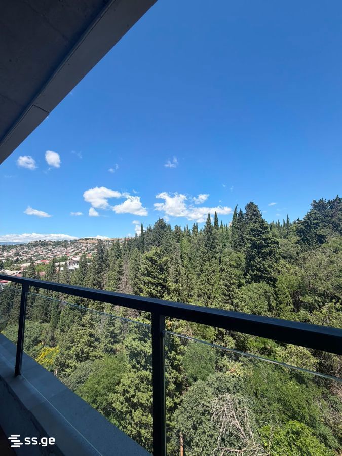 3 Room Flat For Rent. Nadzaladevi view 7