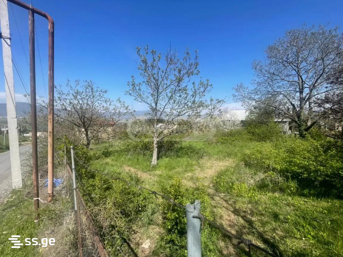 6 Room Summer Cottage For Sale view 3