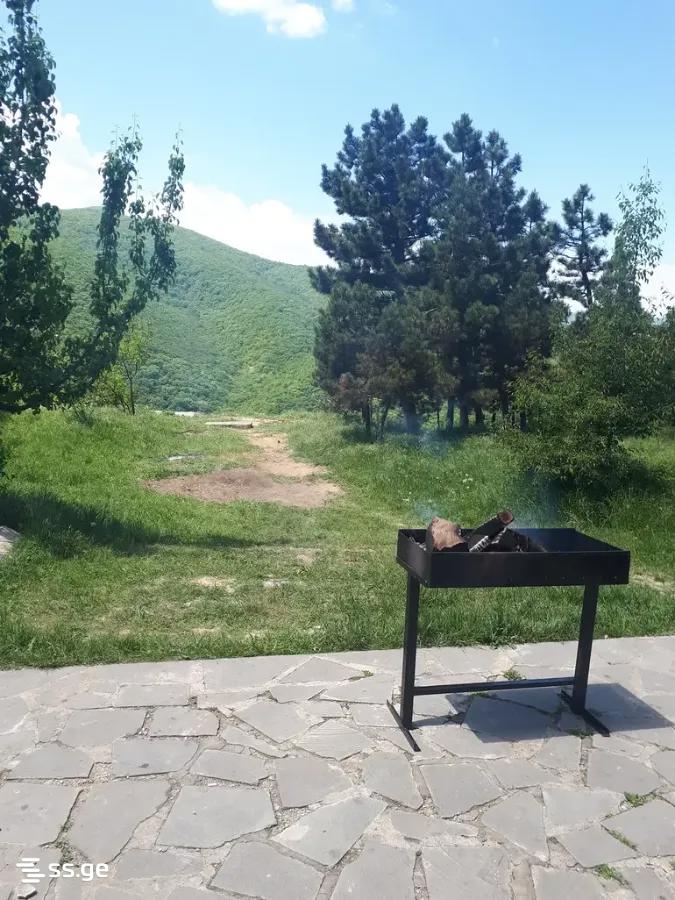 6 Room Private House Daily Rent. Mukhattskaro view 15