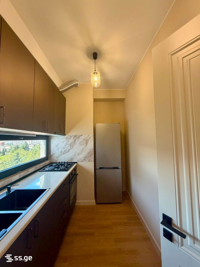 3 Room Flat For Rent. Nadzaladevi view 12