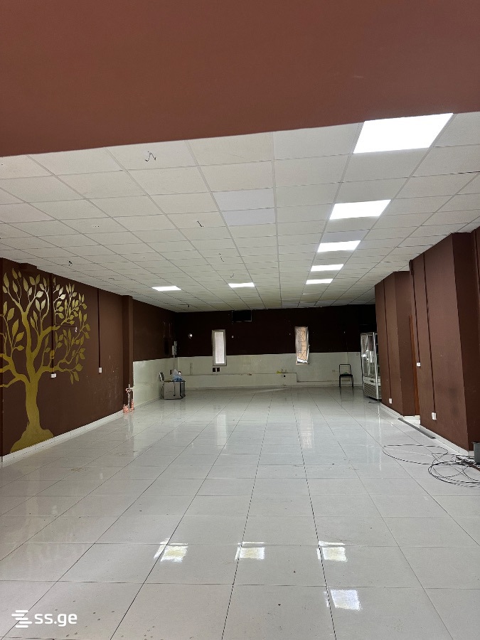 Commercial Space For Rent. Kutaisi view 4