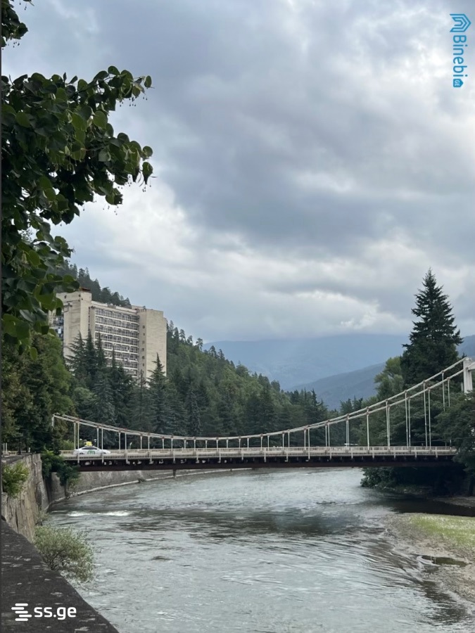 1 Room Flat Daily Rent. Borjomi view 2