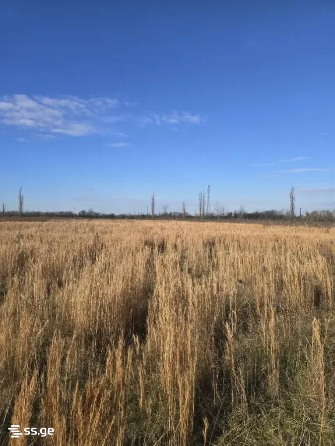 Продажа Земля в самтредиа view 4