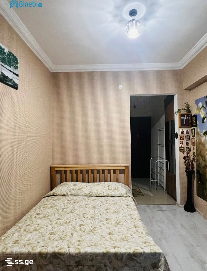 1 Room Flat Daily Rent. Borjomi view 1