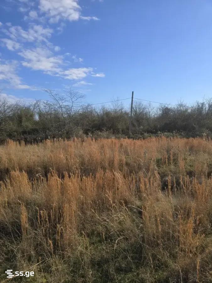 Продажа Земля в самтредиа view 3