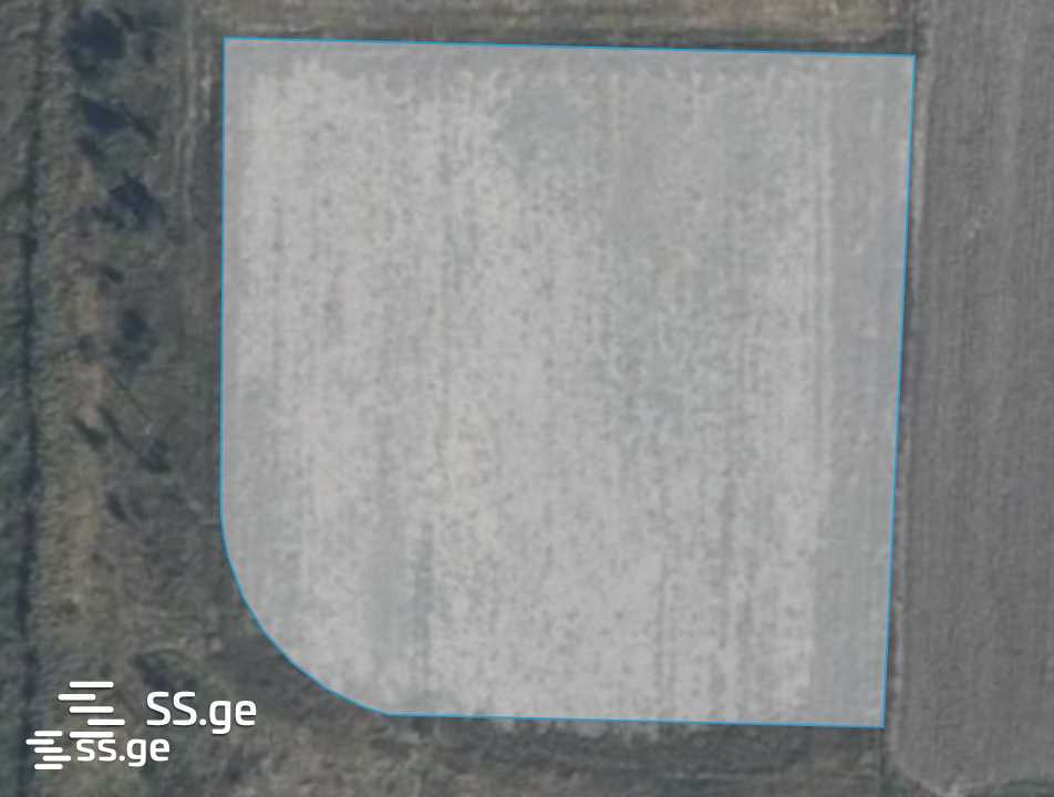 Land For Sale. Gori view 2