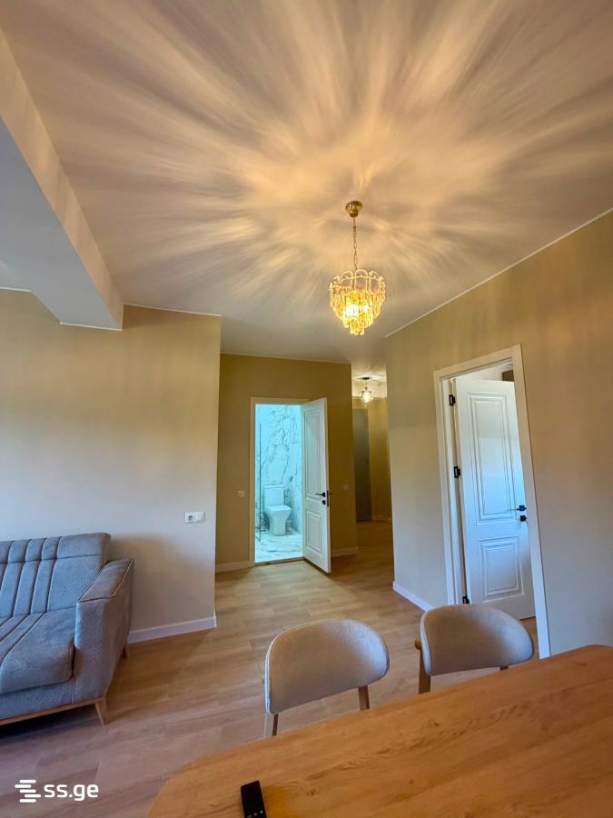 3 Room Flat For Rent. Nadzaladevi view 11