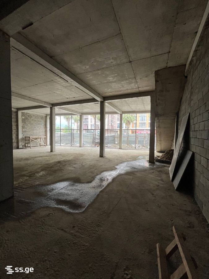 Commercial Space For Rent. Kutaisi view 8