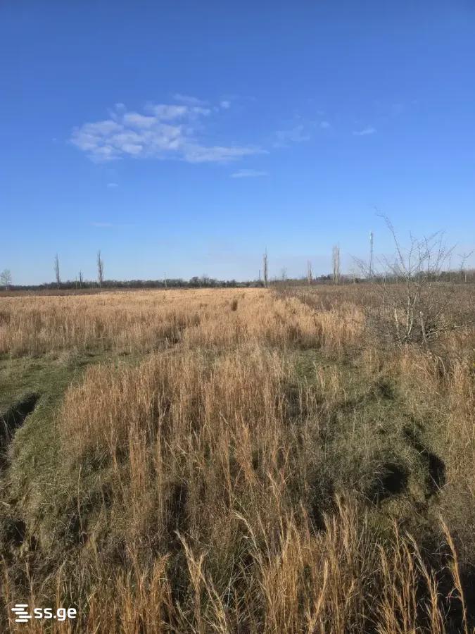 Продажа Земля в самтредиа view 1