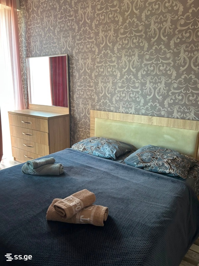 2 Room Flat Daily Rent. Rustavi, 1 of 11
