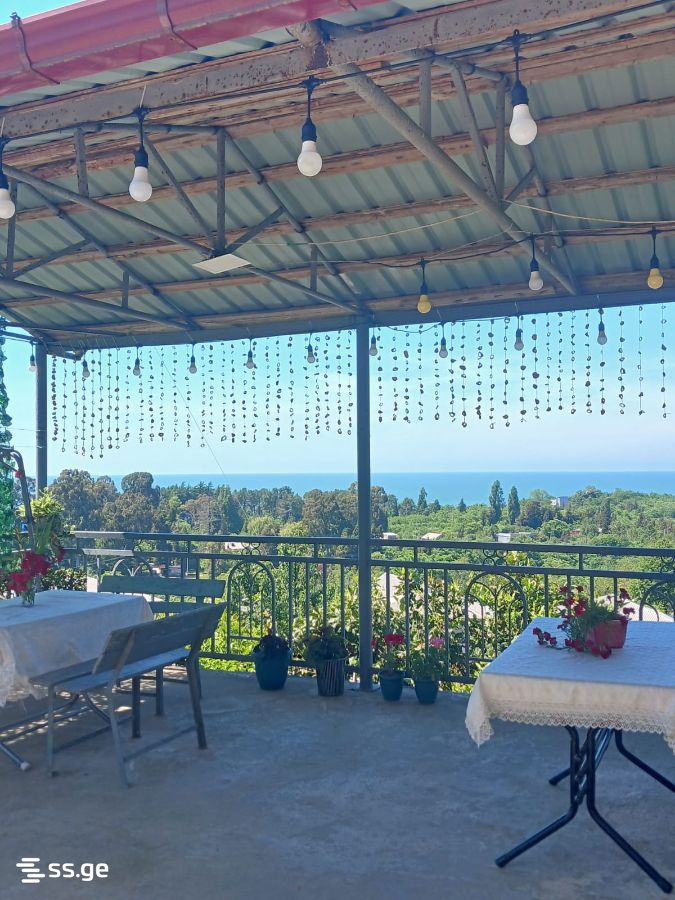 Private House Daily Rent. Tsikhisdziri view 8