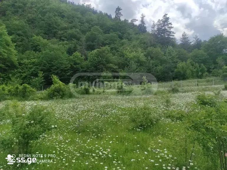Land For Sale. Gori view 5