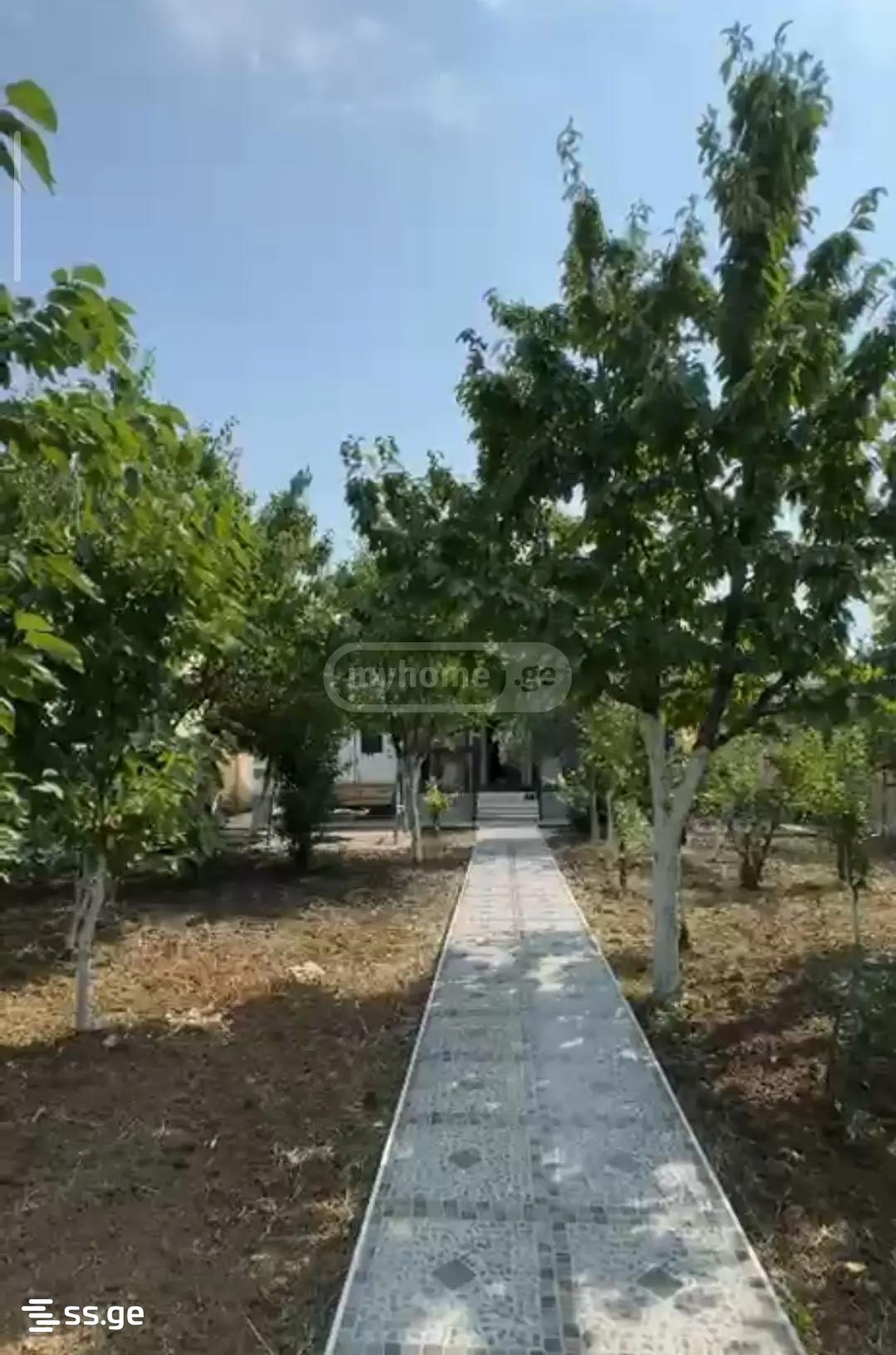 7 Room Private House For Sale view 4