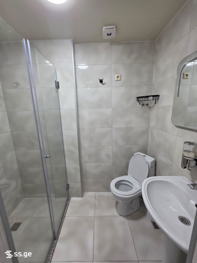 1 Room Apartment For Rent Aeroportis Ubani, In Batumi view 15