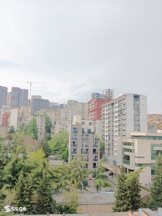2 room Flat For Rent. Districts of Vazha-Pshavela - Mehr
