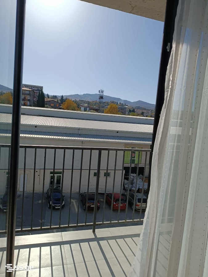 1 Room Flat For Rent. Telavi view 7