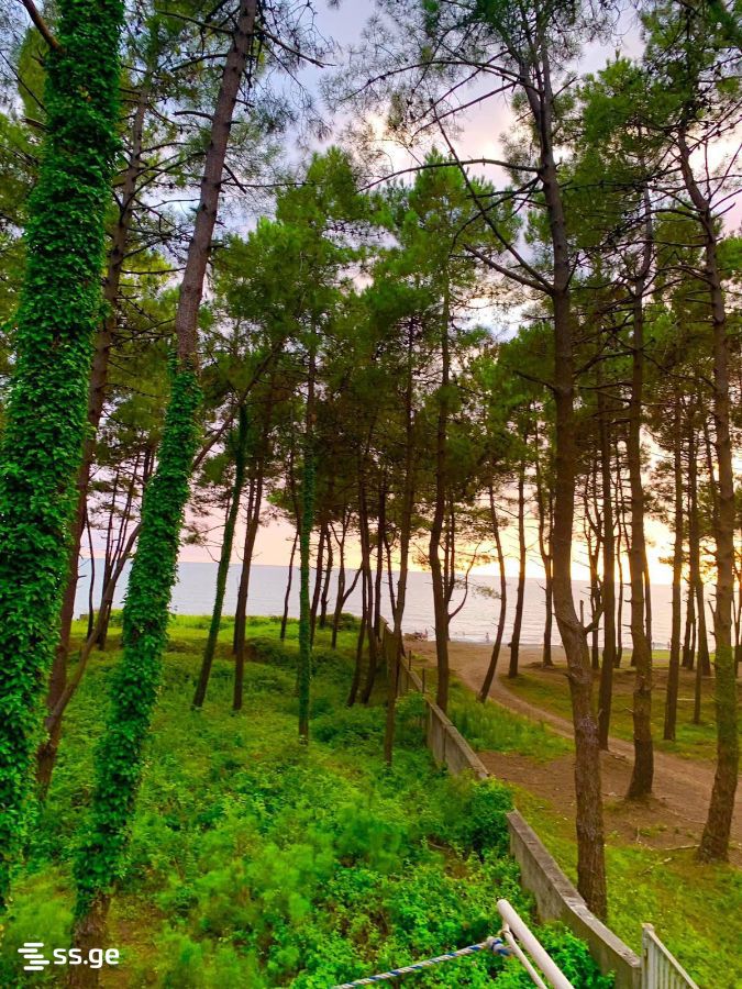 იყიდება 6-ოთახი Summer Cottage view 1