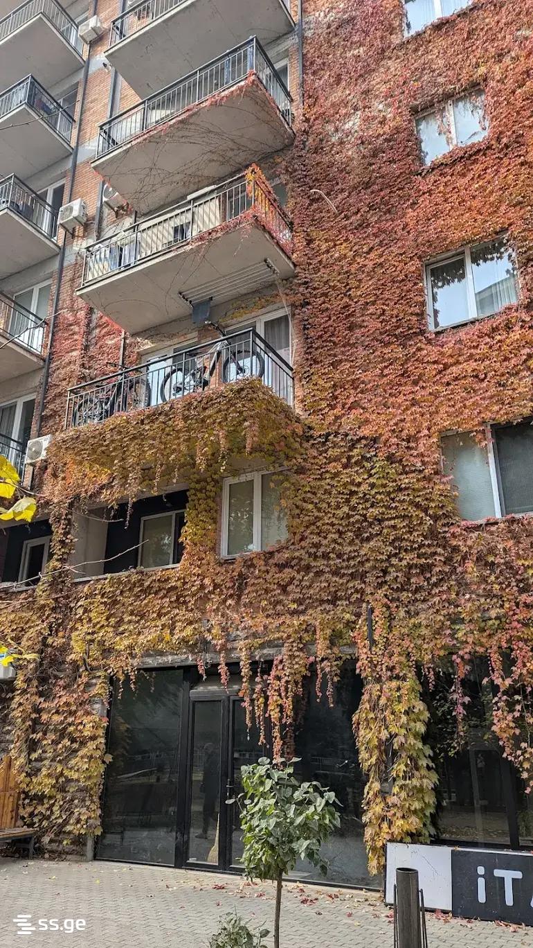 3 room Flat For Rent. Saburtalo - Widok 2